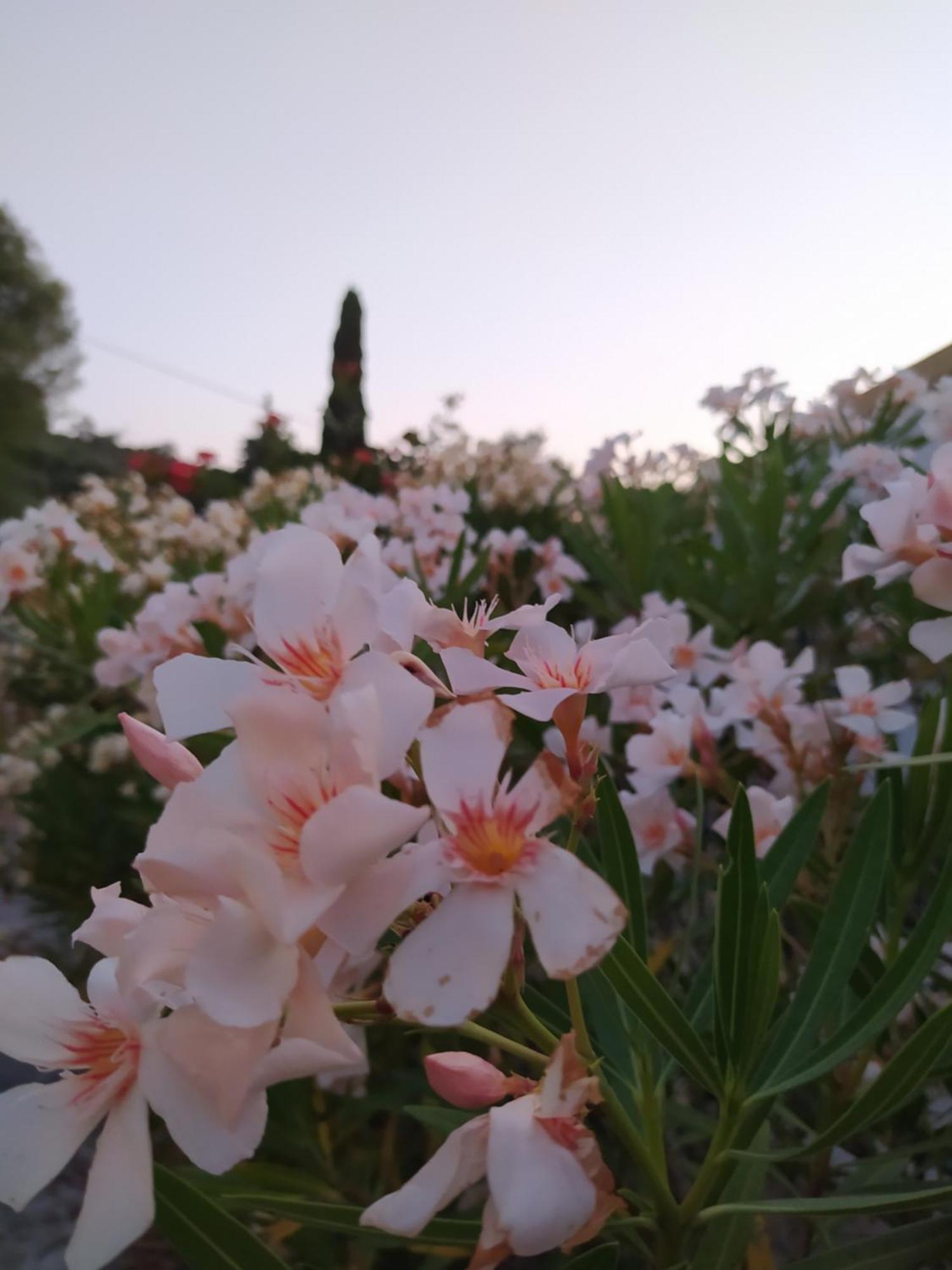 Holiday home Captain's House Longos (Paxos)